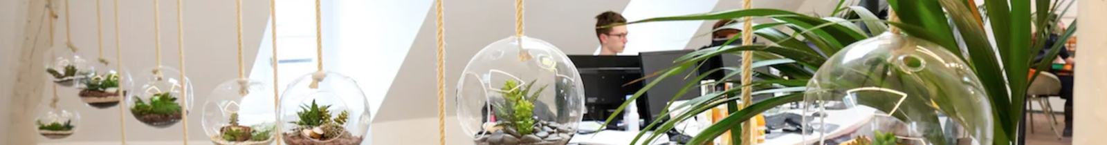 Feng Shui